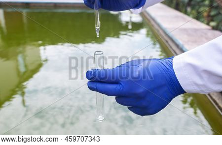 Water Sample. Bacterial Control Of Pool Water. Checking The Amount Of Algae, Harmful Substances And