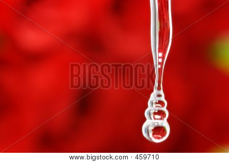 Rose Tropfen