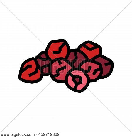 Dried Cherry Color Icon Vector. Dried Cherry Sign. Isolated Symbol Illustration
