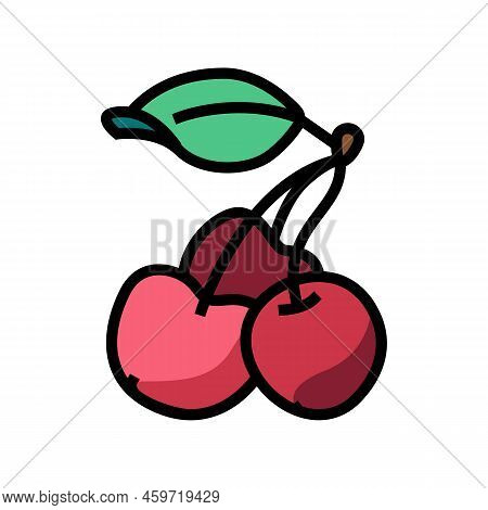 Three Cherries Color Icon Vector. Three Cherries Sign. Isolated Symbol Illustration