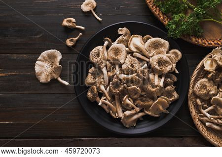 Fresh Edible Mushroom (lentinus Squarrosulus) On Wooden Background, Organic Food Ingredients In Seas