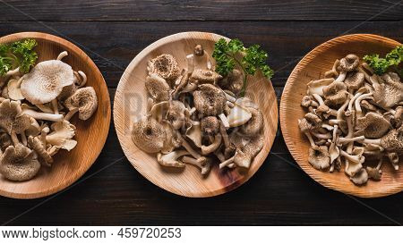 Fresh Edible Mushroom (lentinus Squarrosulus) In Natural Plate On Wooden Background, Organic Food In