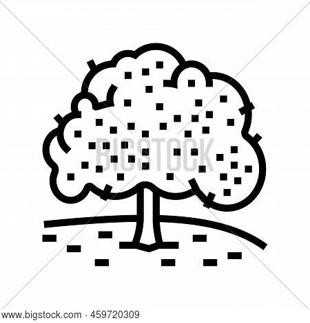 Cherry Tree Line Icon Vector. Cherry Tree Sign. Isolated Contour Symbol Black Illustration