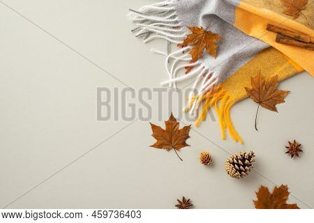 Autumn Aesthetic Concept. Top View Photo Of Plaid Cinnamon Sticks Yellow Maple Leaves Pine Cones And