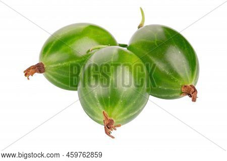 Ripe Green Gooseberry Isolated On White Background. Fresh Agrus. Full Depth Of Field. File Contains 