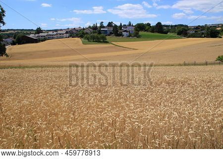 View Of The Summerly Heckengaeu Near Weissach