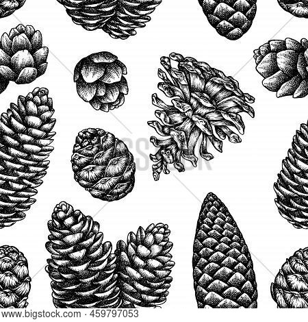 Mysterious Forest Seamless Pattern Background Design. Engraved Style. Hand Drawn Pine Cones. High De