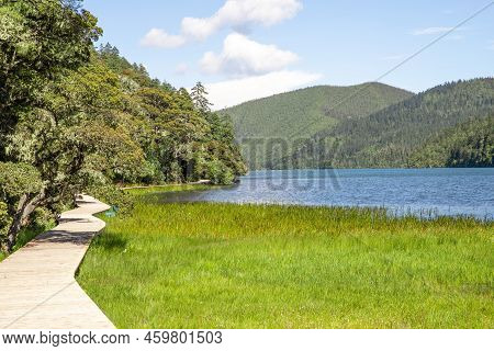 Taken In Pudacuo National Park, Shangri La City, Diqing Prefecture, Yunnan Province, Green Mountains