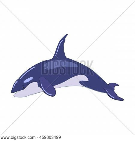 Various Marine Animals Flat Icon. Cartoon Cute Killer Whale Isolated Vector Illustration. Sea Or Oce