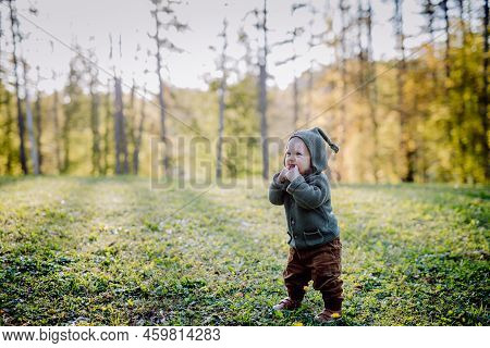 Cute Little Boy Wearing Knitted Hoodie In Nautre, During Sunset, Autumn Concept.