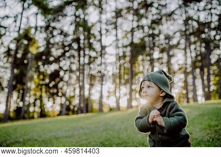 Portrait Of Cute Little Boy Wearing Knitted Hoodie In Nautre, Autumn Concept.
