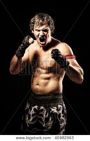Ultimate Fighter