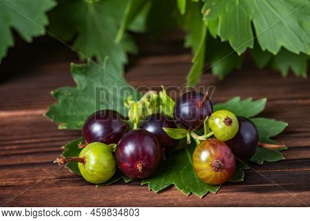Josta With Leaves Hybrid Gooseberry And Black Currant On Wooden Background.