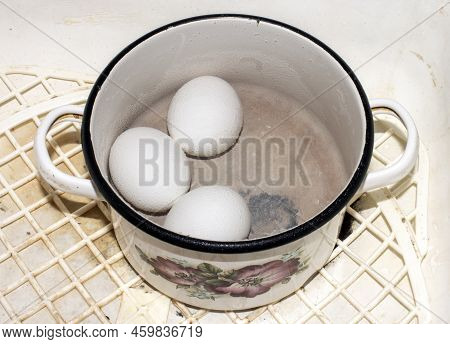 Boiled Chicken Eggs.hard-boiled Eggs.chicken Eggs In Cold Water.