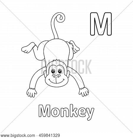 This Abc Vector Image Vector & Photo (Free Trial) | Bigstock