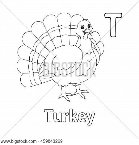 This Abc Vector Image Shows A Turkey Coloring Page. It Is Isolated On A White Background. Perfect Fo