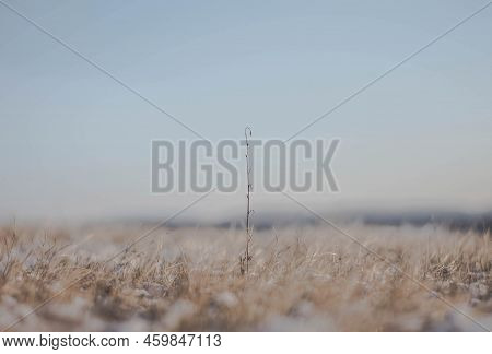 One Blade Of Grass - Beautiful Autumn On The Field