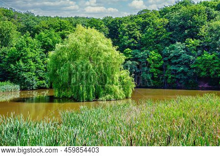 A View Of The Pasture In The Castle Pond In Grillenberg Near Sangerhausen With A Blue Sky In Summer