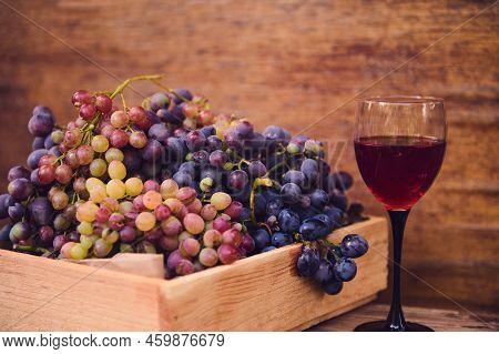 Still Life. A Glass Of Red Wine, Made From Organic Sweet And Juicy Grapes, Harvested In Vineyards In