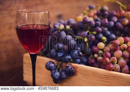 Still Life.focus On A Glass Of Red Wine, Made From Organic Sweet And Juicy Grapes, Harvested In Vine