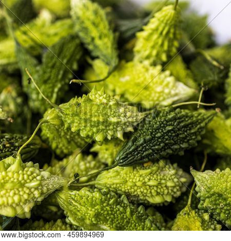 Momordica Charantia For Sale In Haifa Market, Israel. Square Frame
