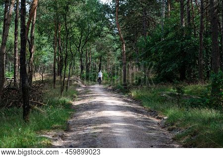Harskamp, Gelderland, The Netherlands - 07 14 2022 - Cyclists Driving Through The Woods Of The Veluw