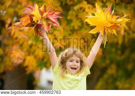Kids Play With Autumn Fall Leaves In Park. Children Throwing Yellow Leaves. Child Boy Hold Maple Lea