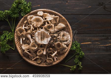 Fresh Edible Mushroom (lentinus Squarrosulus) In Basket On Wooden Background, Organic Food Ingredien