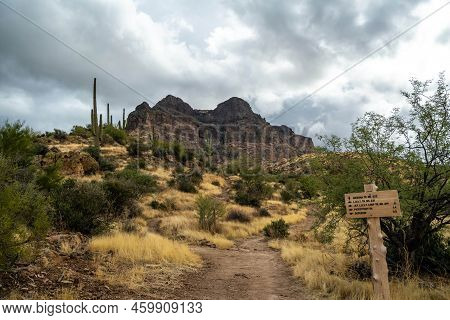 A Description Board For The Trails In Tonto Nf, Arizona