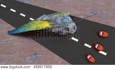 Moth On The Runway As A Parable Of Ukrainian Territory And Russian Attacking. Cockroach With Russian