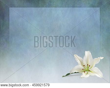 White Lily Border Frame Announcement Invitation Advert Template Background - Rustic Grunge Jade Gree