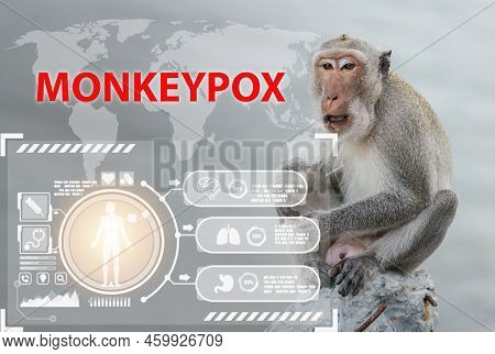 Monkeypox New Disease Dangerous. Symptom Monkeypox Cell With Wild Monkey Animal Mpxv Virus, Sexual H