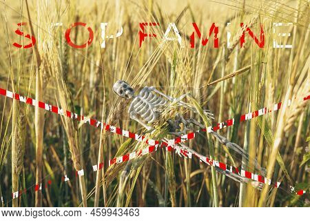 Inscription On The Picture Is 