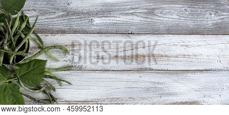 Overhead View Of Green Rattlesnake Pole Beans Flowing Out Of Stainless Steel Bowl On White Rustic Wo