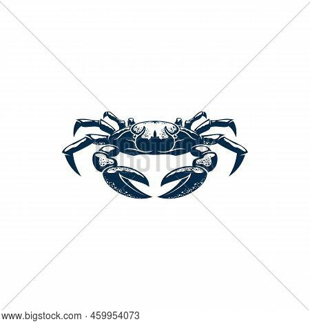 Crab Isolated Underwater Animal Monochrome Sketch. Vector Marine Crustacean With Claws And Shell, Se