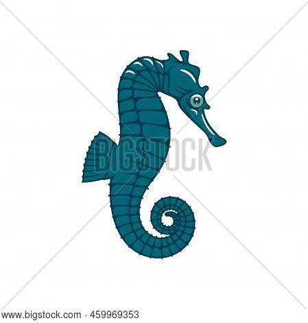 Marine Seahorse Isolated Small Wish With Curved Tail. Vector Sea-horse Underwater Animal, Hippocampu