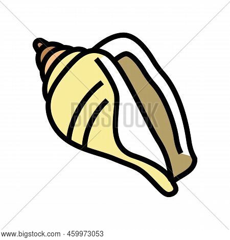 Strombus Sea Shell Beach Color Icon Vector. Strombus Sea Shell Beach Sign. Isolated Symbol Illustrat