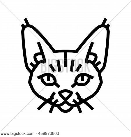 Devon Rex Cat Cute Pet Line Icon Vector. Devon Rex Cat Cute Pet Sign. Isolated Contour Symbol Black 