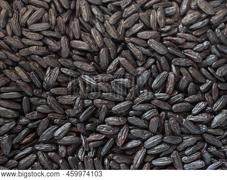 Venus Black Rice Medium Grain Italian And Chinese Crossbreeding Variety