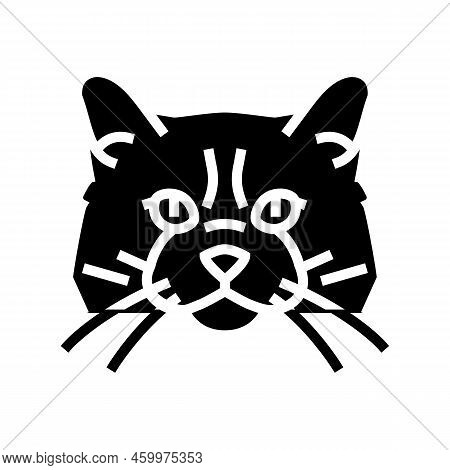 Ragdoll Cat Cute Pet Glyph Icon Vector. Ragdoll Cat Cute Pet Sign. Isolated Symbol Illustration
