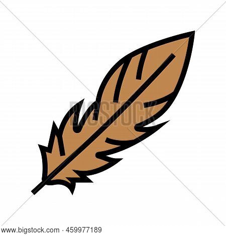 Goose Feather Soft Fluffy Color Icon Vector. Goose Feather Soft Fluffy Sign. Isolated Symbol Illustr