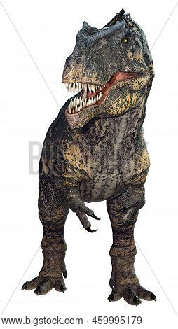3D Rendering Dinosaur Gigantosaurus On White
