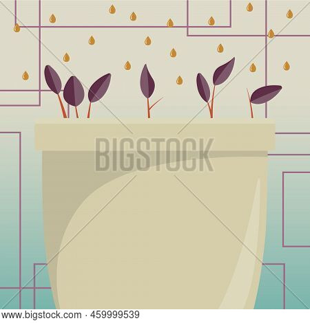 Flower Vase With Herbs Watered By Drops From Top. Liquid Being Poured Over Large Plant Pot. Fresh Gr