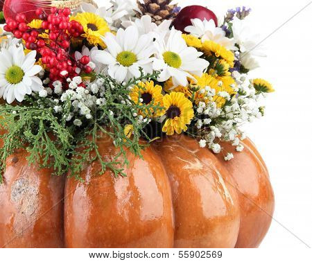 Beautiful autumn composition in pumpkin isolated on white