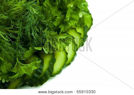 Dill And Parsley And Cucumber Chips