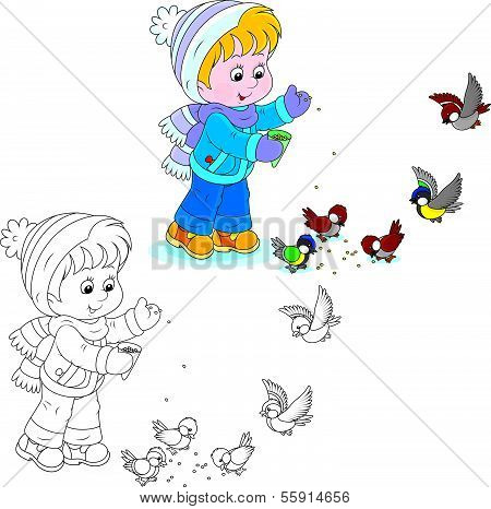 Child feeds birds