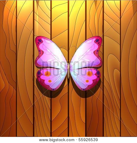 Beautiful pink butterfly