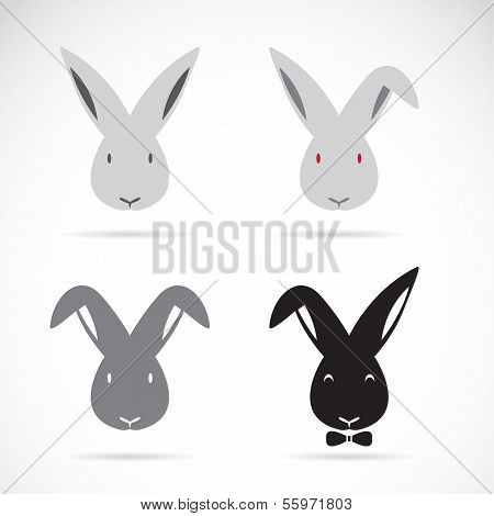 Vector Image Of An Rabbit
