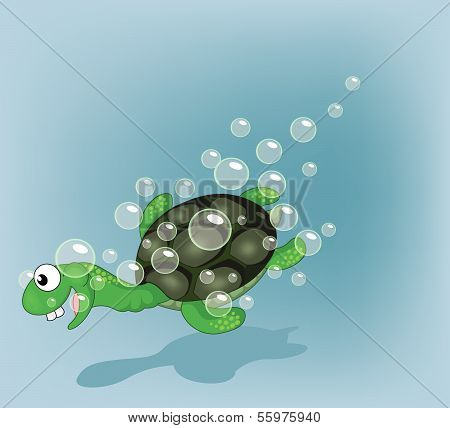 Turtle and Bubble Cartoon