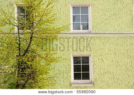 Spring tree
